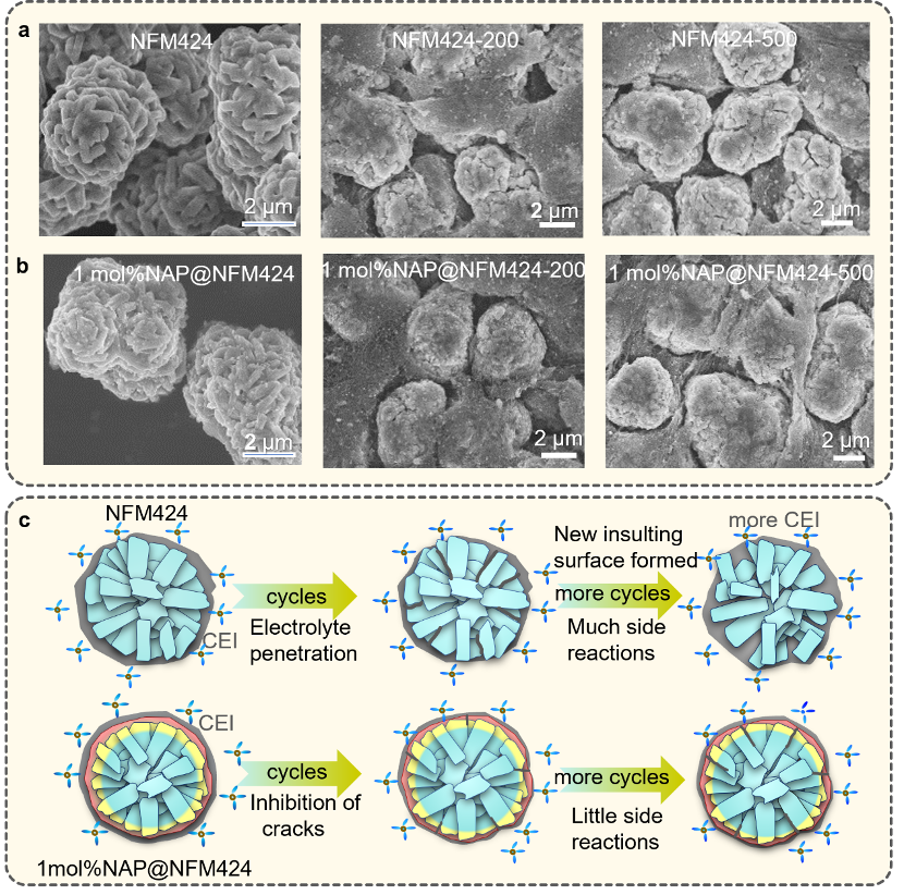 1687225782578068027.png 5.png